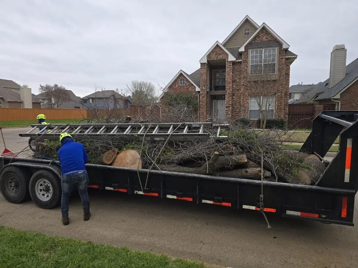 Expert Tree Fertilization with proper safety equipment in Childersburg